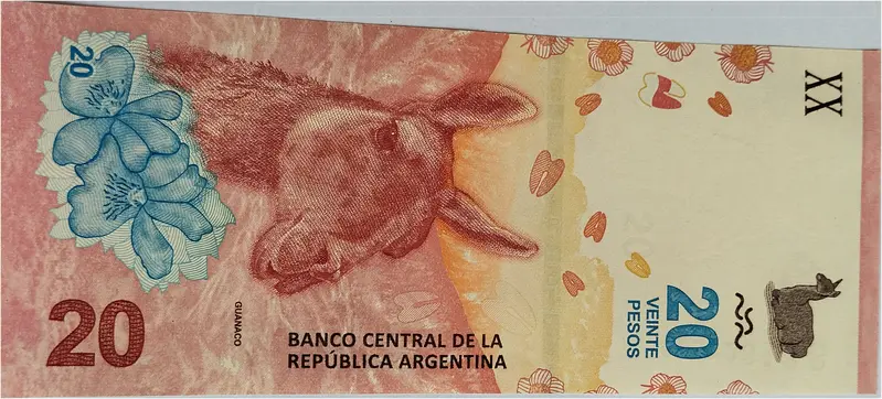 ARGENTINA - 20 PESOS - UNC & MINT CONDITION - 1