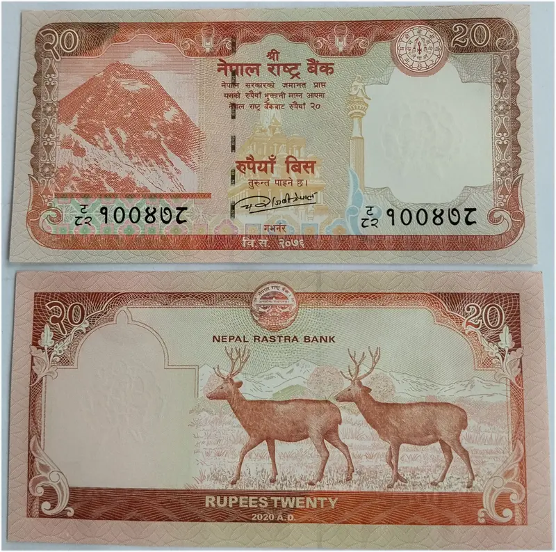 NEPAL - 20 RUPEES - SAMBAL DEER - UNC & MINT CONDITION (2016) - 1