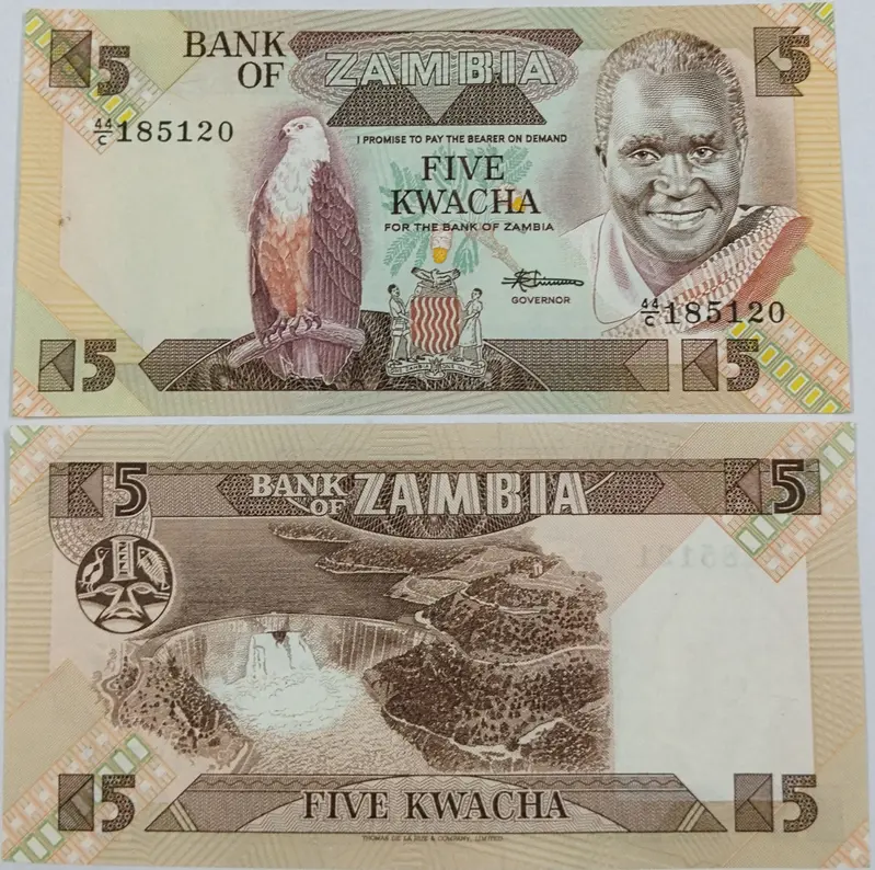 ZAMBIA - 5 KWACHA - UNC & MINT CONDITION  - 1