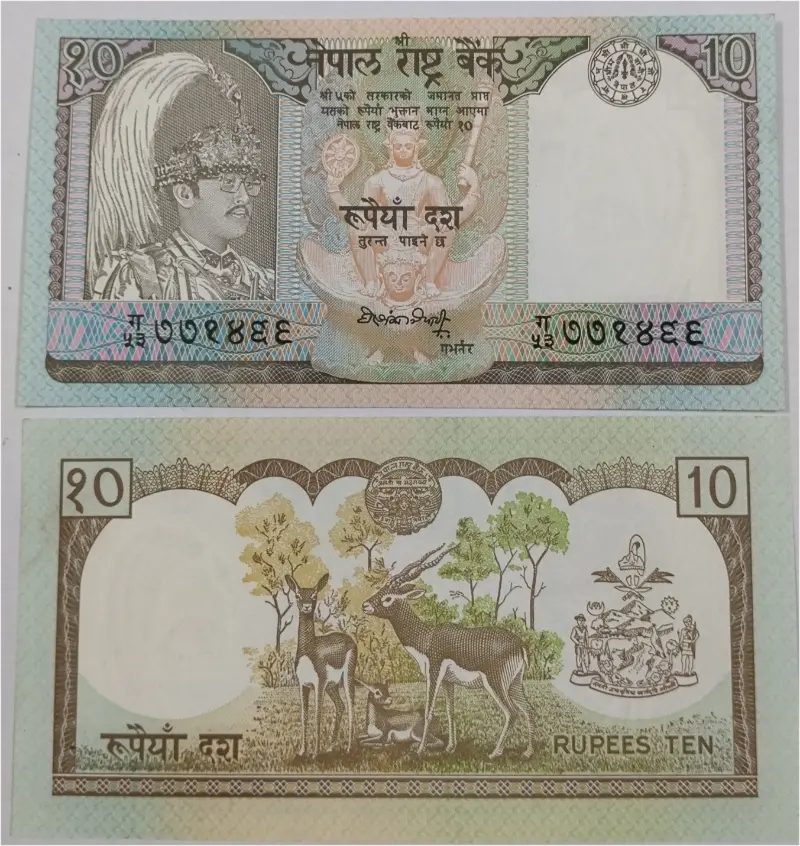 NEPAL - 10 RUPEES POLYMER NOTE - UNC & MINT CONDITION (2002) - 1