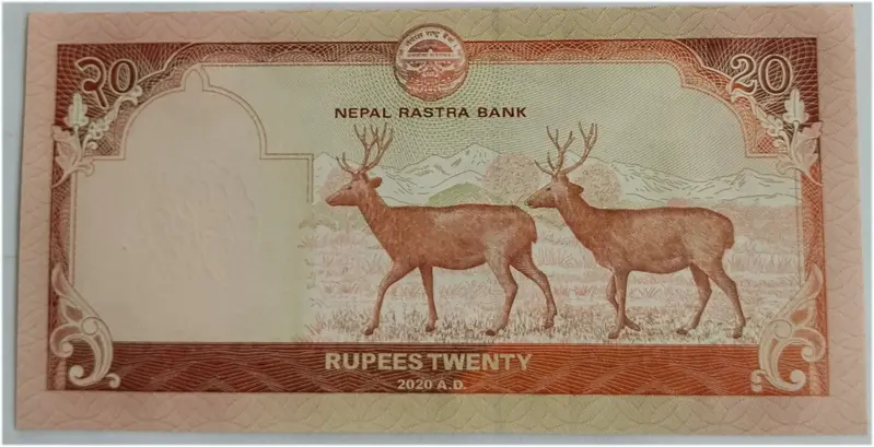 NEPAL - 20 RUPEES - SAMBAL DEER - UNC & MINT CONDITION (2016) - 1
