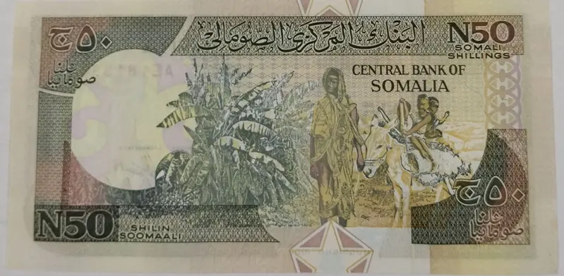 SOMALIA - 50 SOMALI SHILLING NOTE  - UNC & MINT CONDITION (1991) - 1