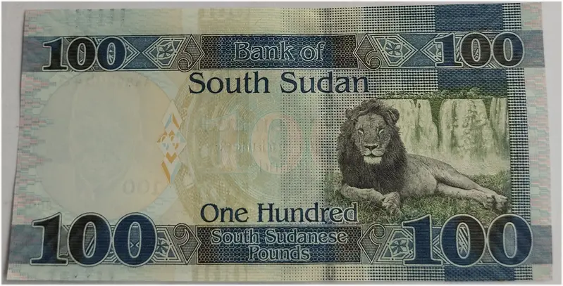 SOUTH SUDAN - SOUTH SUDANESE 100 POUNDS -  UNC & MINT CONDITION (2019) - 1
