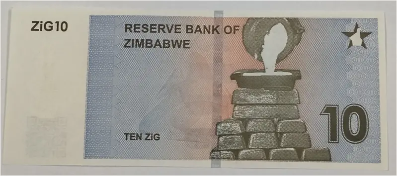 ZIMBABWE - 10 GOLD (ZIG) NOTE  - UNC & MINT CONDITION (2024) - 1