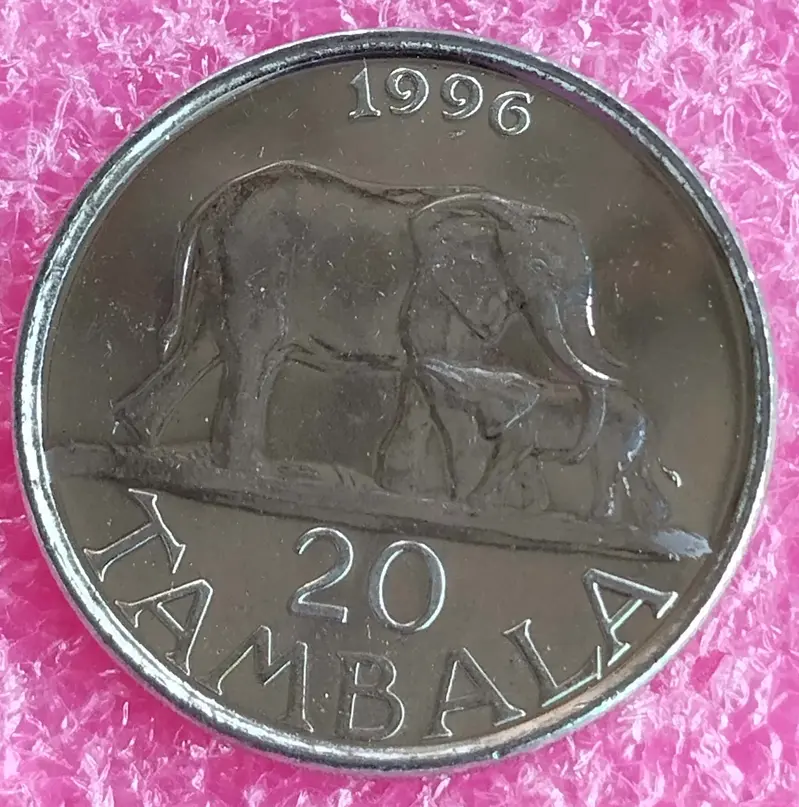MALAWI - 20 TAMBALA COIN -  UNC MINT CONDITION - 1