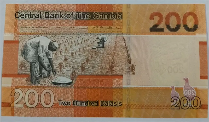 GAMBIA - 200 DALASIS - UNC MINT CONDITION (2019 & 2023) - 1