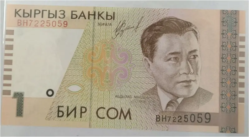 KYRGYZSTAN - 1 SOM - UNC MINT CONDITION (1994) - 1