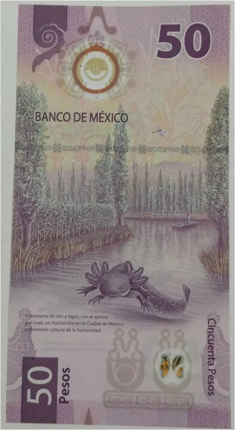 MEXICO - 50 PESOS - POLYMER NOTE - UNC MINT CONDITION (2021) - 1