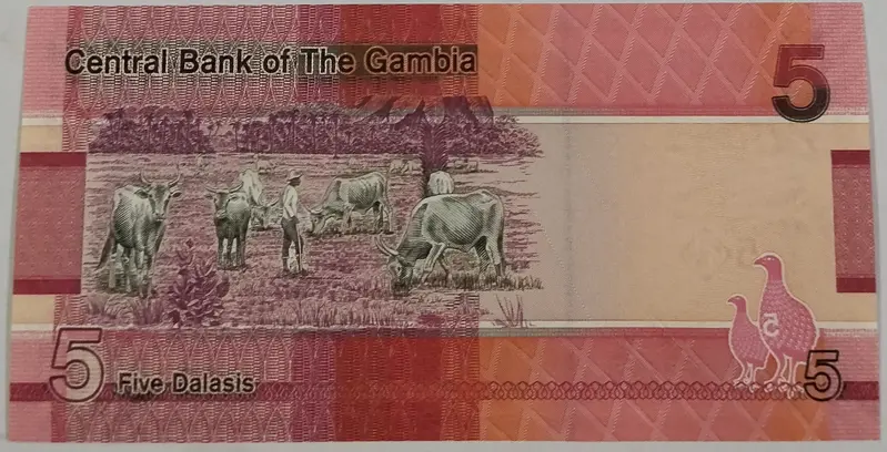 GAMBIA - 5 Dalasis - UNC & MINT CONDITION (2023) - 1
