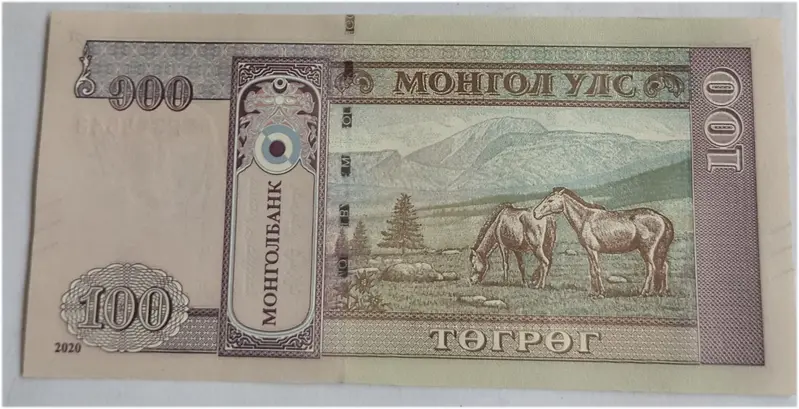 MONGOLIA - 100 TOGROG - UNC & MINT CONDITION (2020) - 1