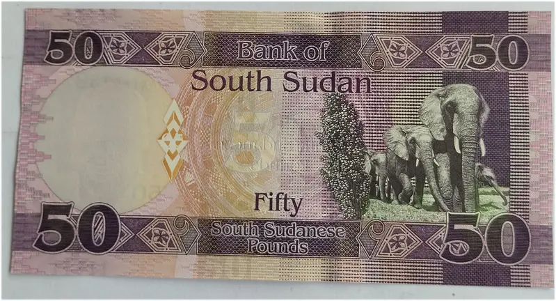 SOUTH SUDAN - SOUTH SUDANESE 50 POUNDS - UNC & MINT CONDITION (2019) - 1