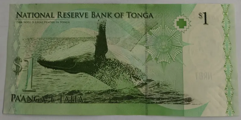 TONGA - 1 PA'ANGA - UNC & MINT CONDITION (2009) - 1