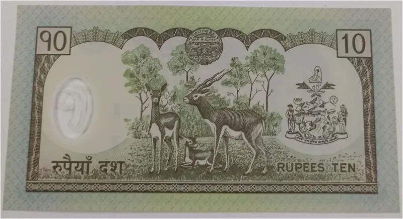 NEPAL - 10 RUPEES POLYMER NOTE - UNC & MINT CONDITION - 1