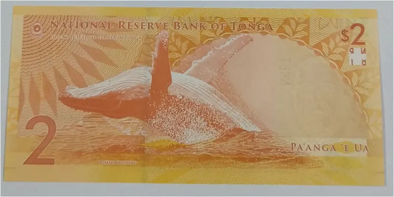 TONGA - 2 PA`ANGA - UNC & MINT CONDITION (2023) - 1
