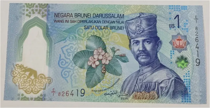 BRUNEI - 1 DOLLAR POLYMER NOTE - UNC & MINT CONDITION (2024) - 1