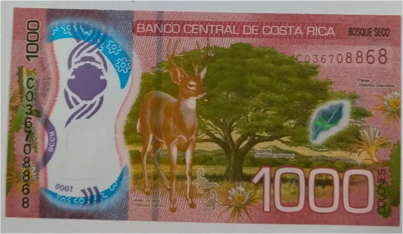 COSTA RICA - 1000 COLONES  POLYMER NOTE -  GEM UNC MINT CONDITION - 1