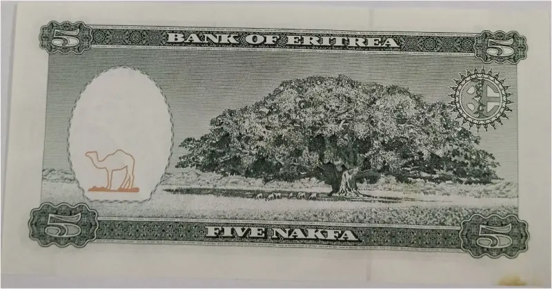 ERITREA - 5 NAKFA -  UNC MINT CONDITION (1997) - 1
