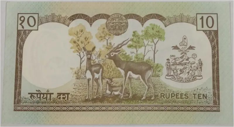 NEPAL - 10 RUPEES POLYMER NOTE - UNC & MINT CONDITION (2002) - 1