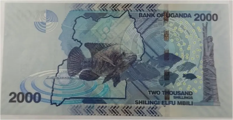 UGANDA - 2000 SHILLINGS - UNC MINT CONDITION (2021) - 1