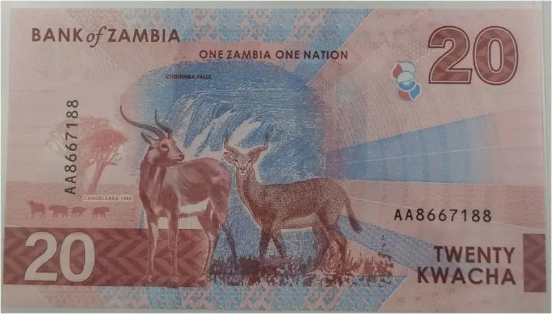 ZAMBIA - 20 KWACHA - GEM UNC MINT CONDITION (2024) - 1