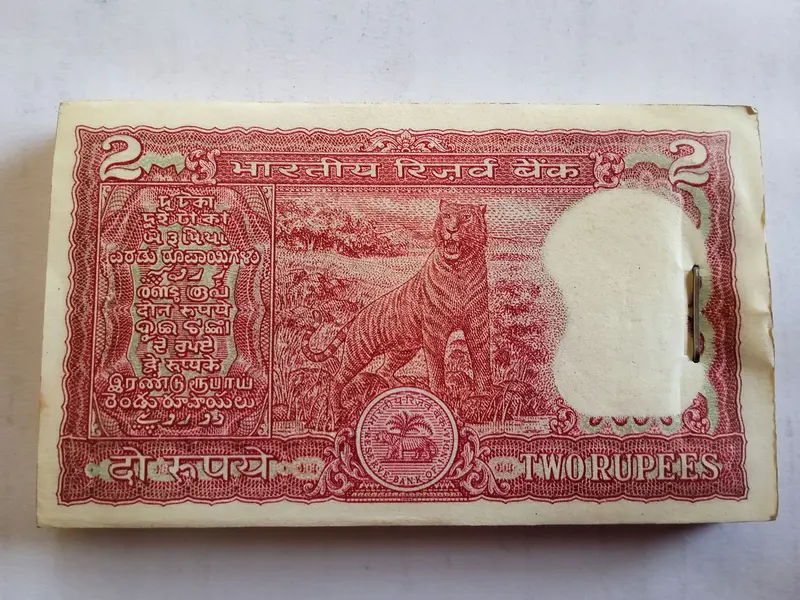 R2 Tiger 100 Notes Serial Bundle - R2 Tiger Bundle