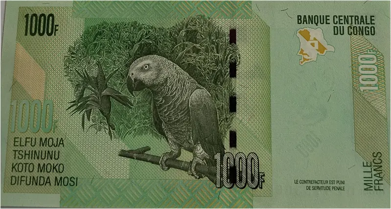 foreign-notes