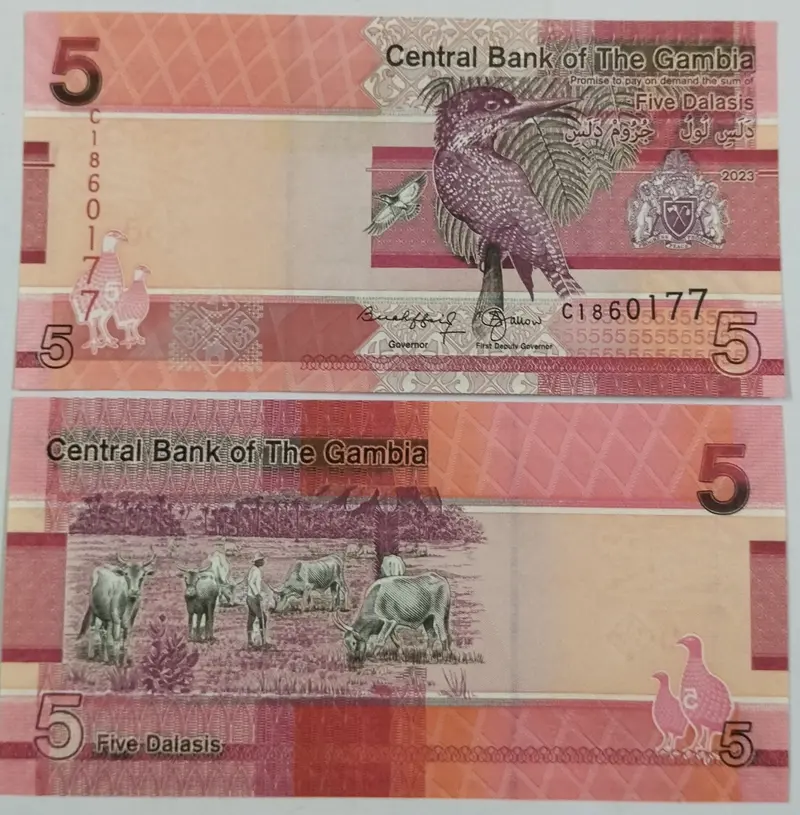 foreign-notes