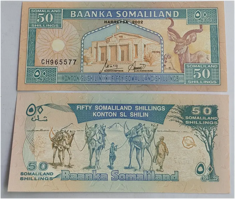 foreign-notes