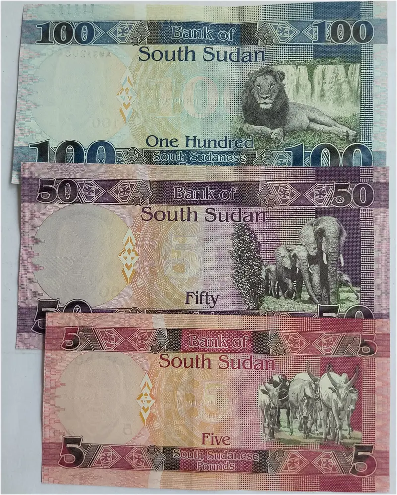 foreign-notes