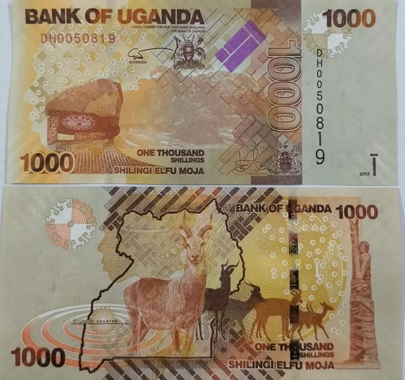 foreign-notes