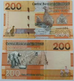 gambia