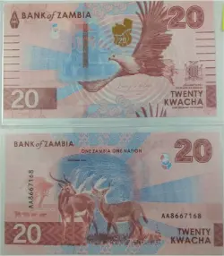 zambia