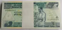 foreign-notes-bundle