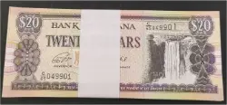 foreign-notes-bundle