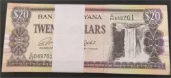 foreign-notes-bundle