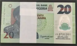 foreign-notes-bundle