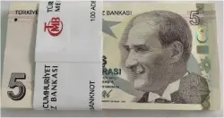 foreign-notes-bundle