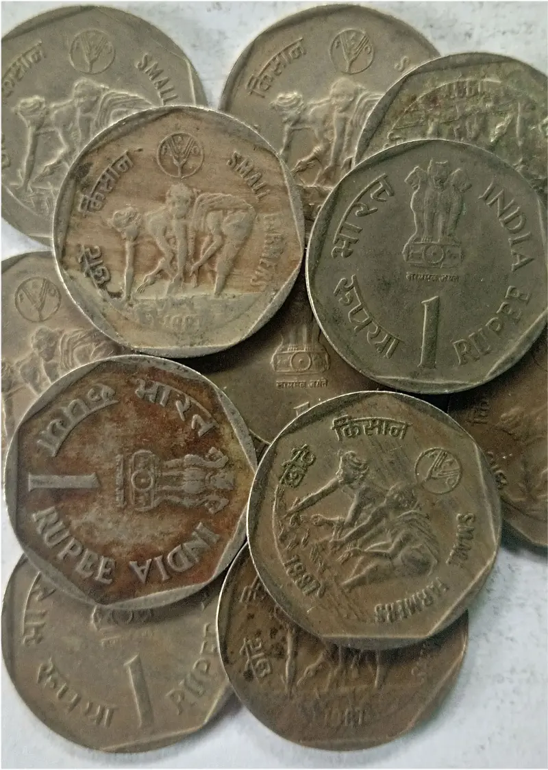 2 Paisa" coin. It was a standard circulation coin of the Republic of India. 