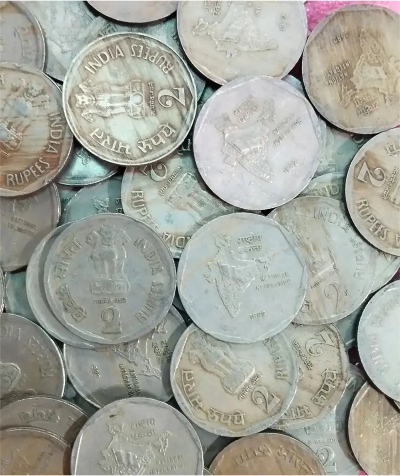 2 Paisa" coin. It was a standard circulation coin of the Republic of India. 