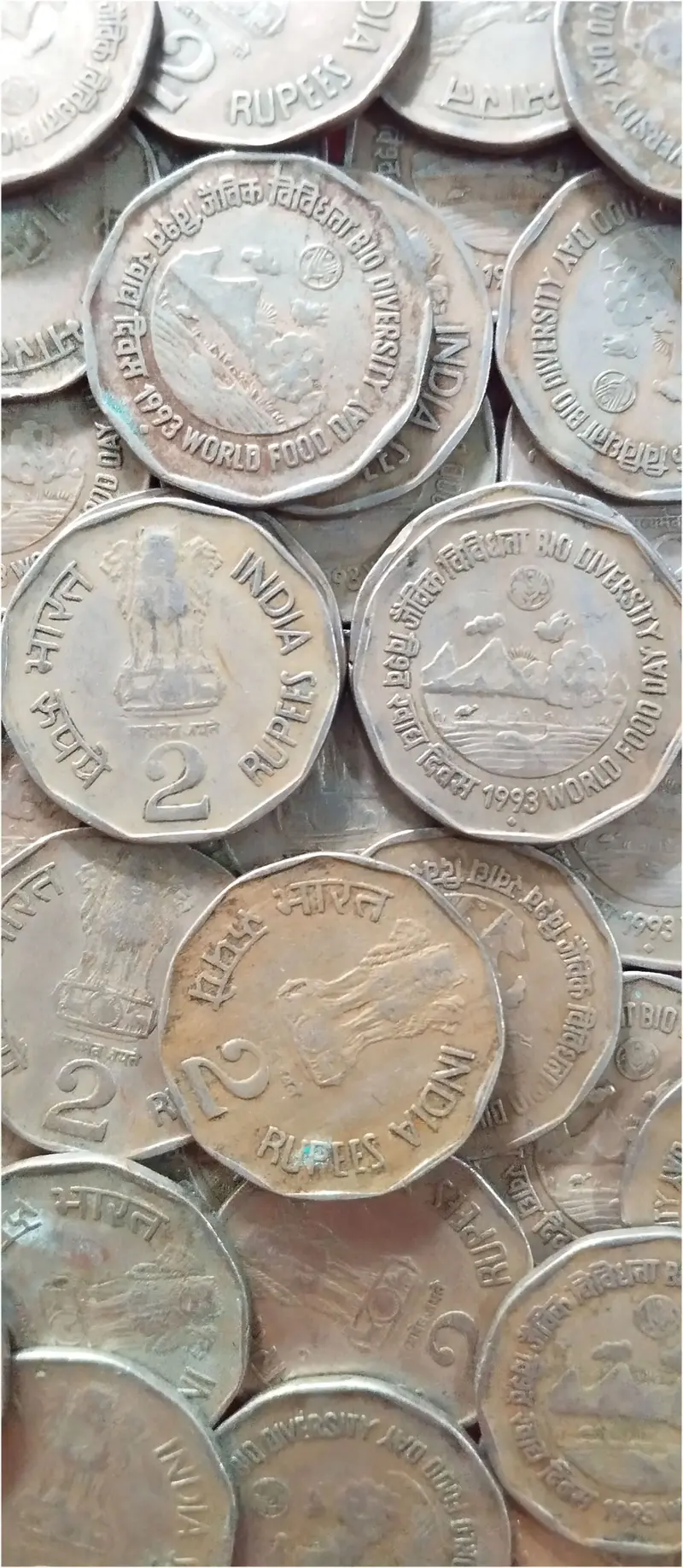 2 Paisa" coin. It was a standard circulation coin of the Republic of India. 