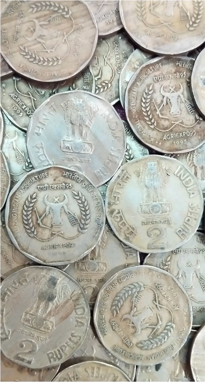 2 Paisa" coin. It was a standard circulation coin of the Republic of India. 